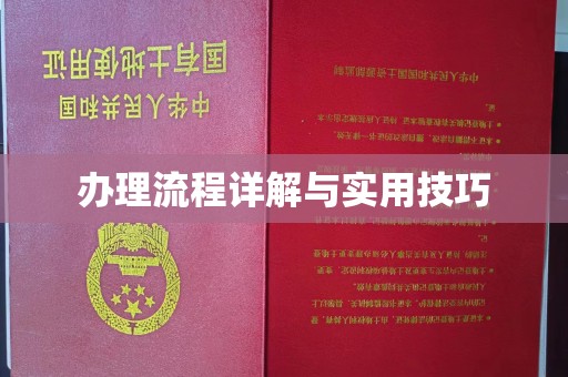 官田办理流程详解与实用技巧