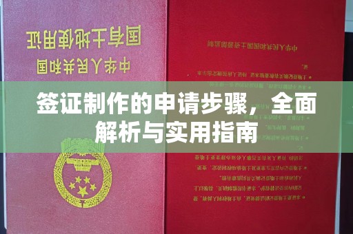 官田签证制作的申请步骤，全面解析与实用指南