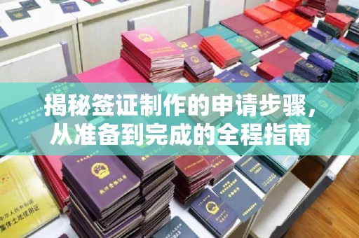官田揭秘签证制作的申请步骤，从准备到完成的全程指南