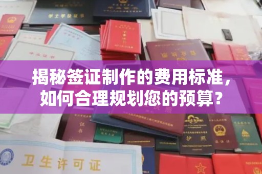 官田揭秘签证制作的费用标准，如何合理规划您的预算？