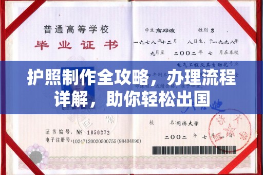 官田护照制作全攻略，办理流程详解，助你轻松出国