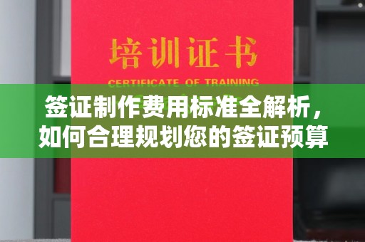 官田签证制作费用标准全解析，如何合理规划您的签证预算？
